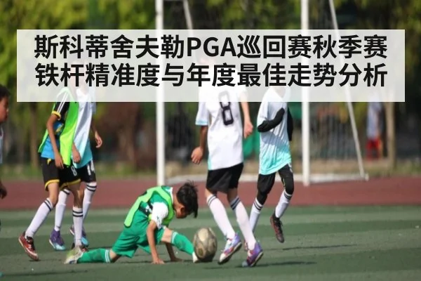 斯科蒂舍夫勒PGA巡回赛秋季赛铁杆精准度与年度最佳走势分析